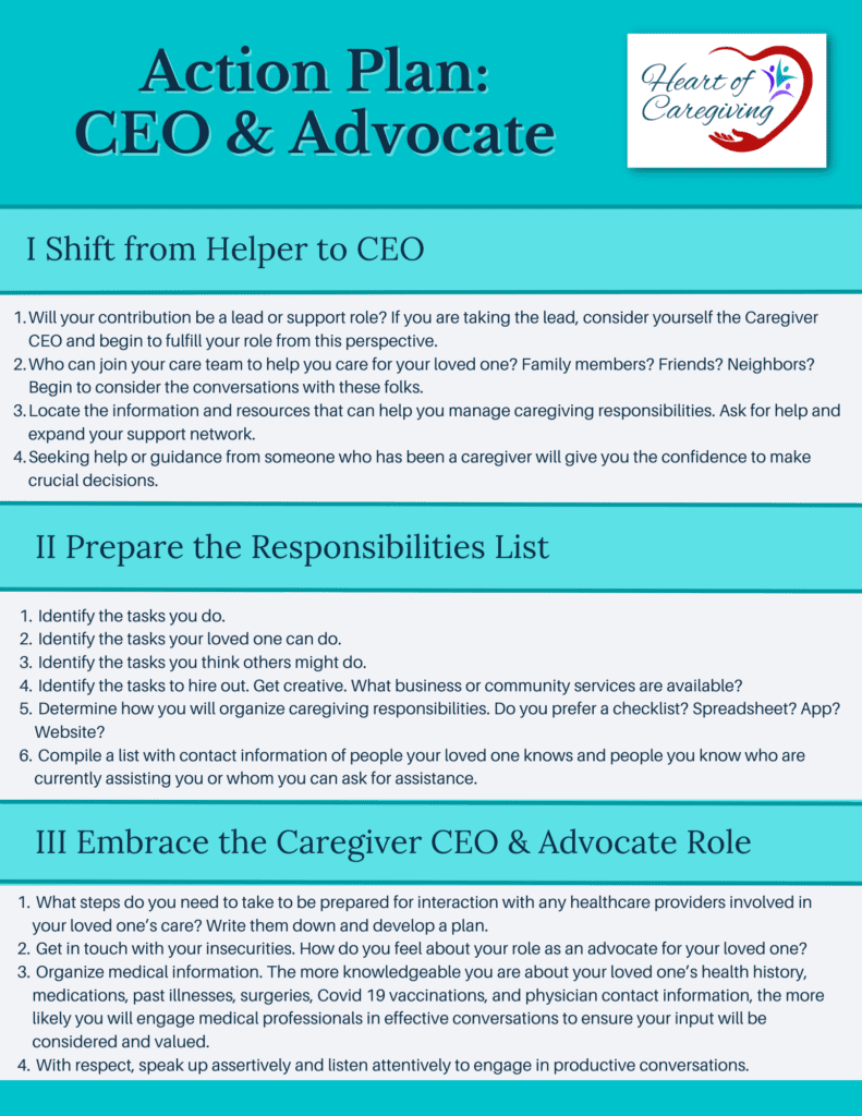 CEO & Advocate Action Plan